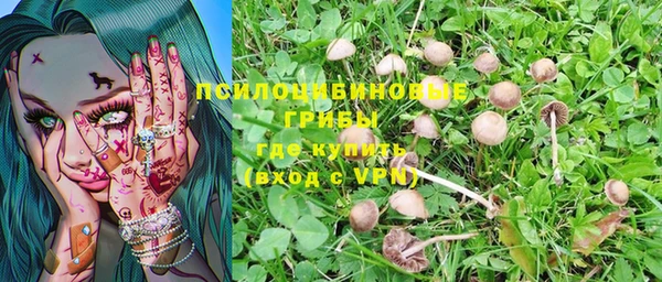 метамфетамин Сясьстрой