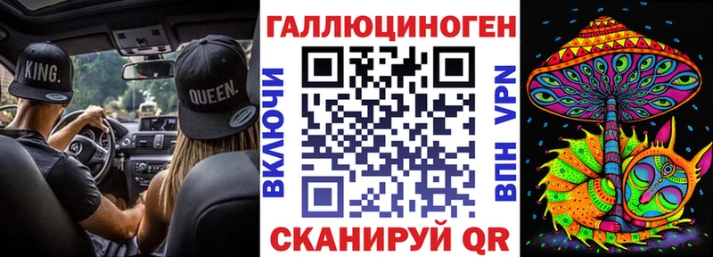 Галлюциногенные грибы Psilocybe  Невьянск 