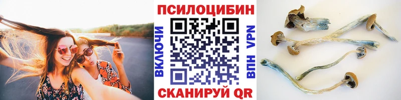 Галлюциногенные грибы Psilocybe Невьянск